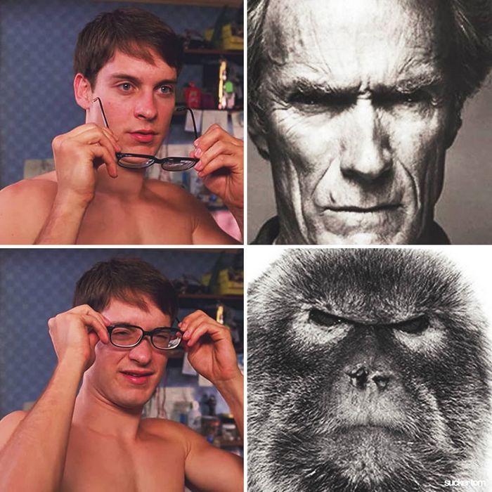 28 memes que mostram celebridades e seus dublê de uma maneira engraçada 13