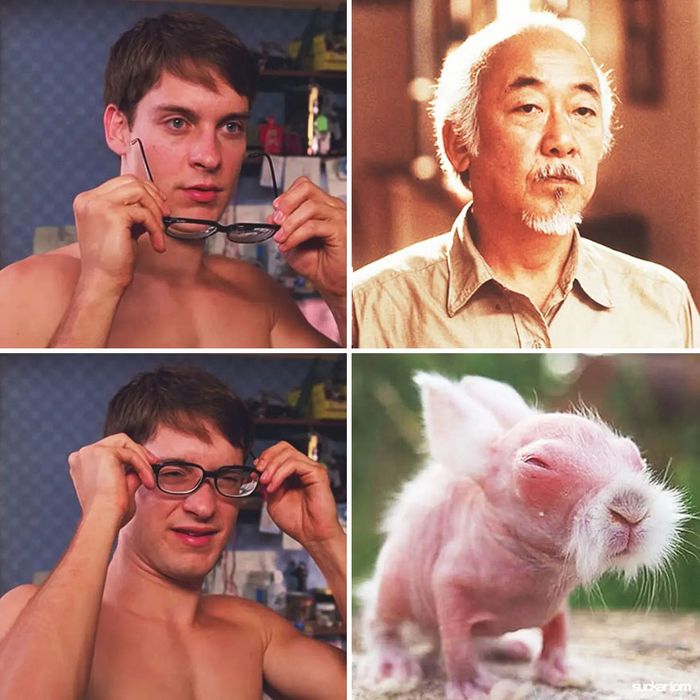 28 memes que mostram celebridades e seus dublê de uma maneira engraçada 17