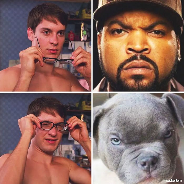 28 memes que mostram celebridades e seus dublê de uma maneira engraçada 22