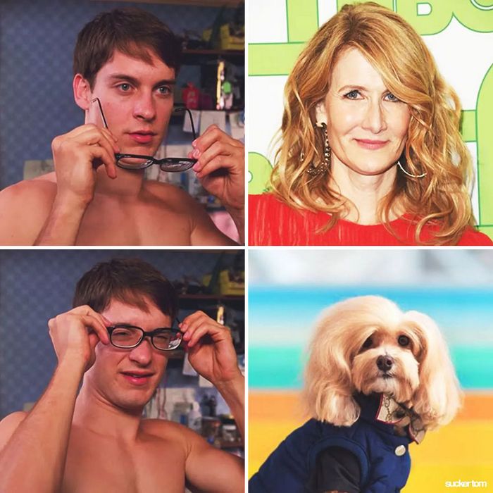 28 memes que mostram celebridades e seus dublê de uma maneira engraçada 25