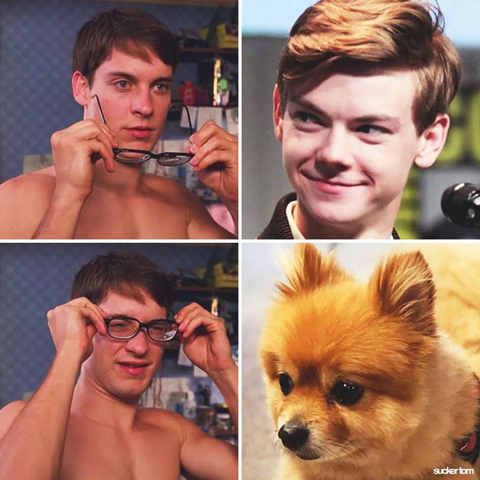 28 memes que mostram celebridades e seus dublê de uma maneira engraçada 28