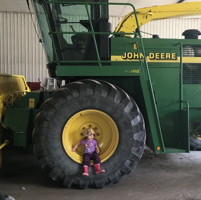 14 álbum de família que contém tesouros valiosos 14