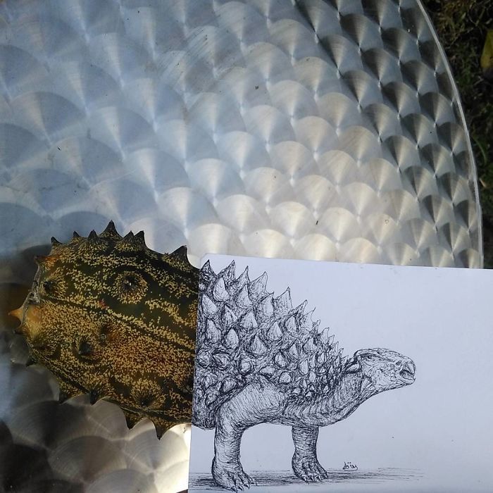 Artista completa coisas que encontra na rua com seus desenhos (31 fotos) 2