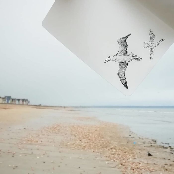 Artista completa coisas que encontra na rua com seus desenhos (31 fotos) 23