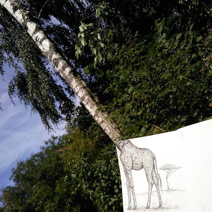 Artista completa coisas que encontra na rua com seus desenhos (31 fotos) 27