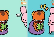Artista cria quadrinhos sobre um tigre e um coelho inspirado na sua vida (30 fotos) 29