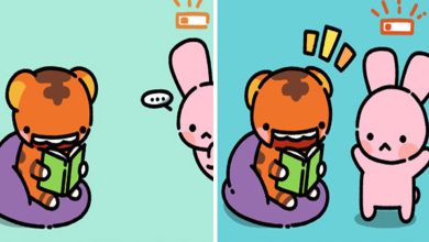 Artista cria quadrinhos sobre um tigre e um coelho inspirado na sua vida (30 fotos) 31