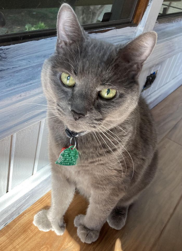 17 coisas comuns que de repente não são mais tão comuns 2