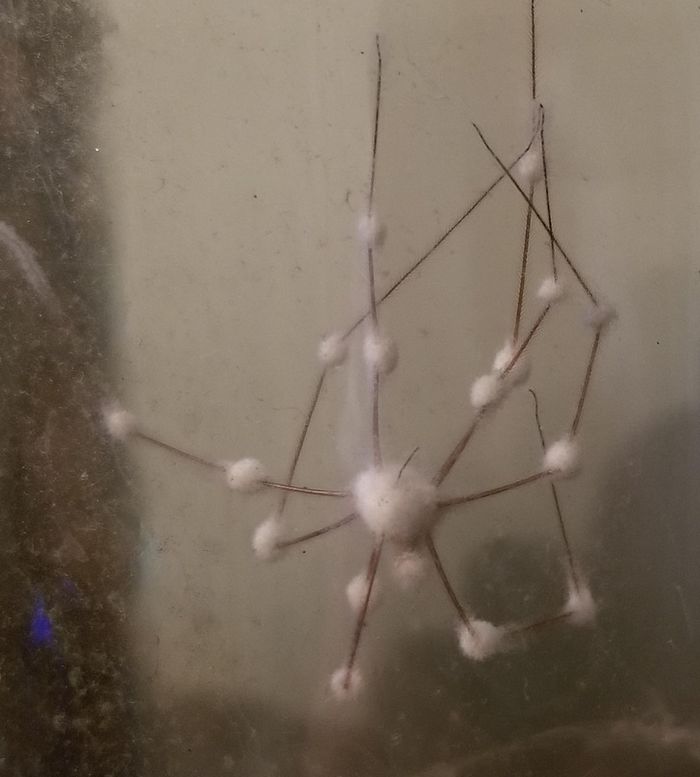 17 coisas comuns que de repente não são mais tão comuns 5