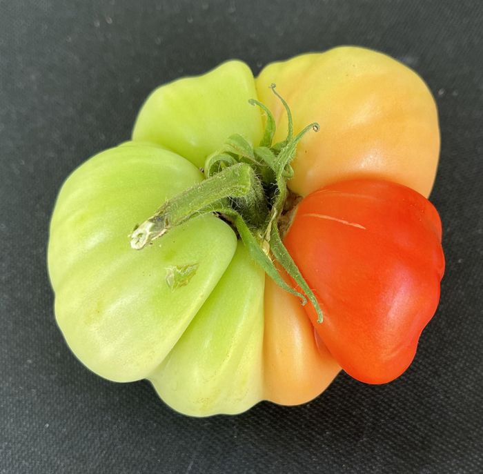 17 coisas comuns que de repente não são mais tão comuns 10