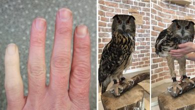 17 coisas comuns que de repente não são mais tão comuns 5