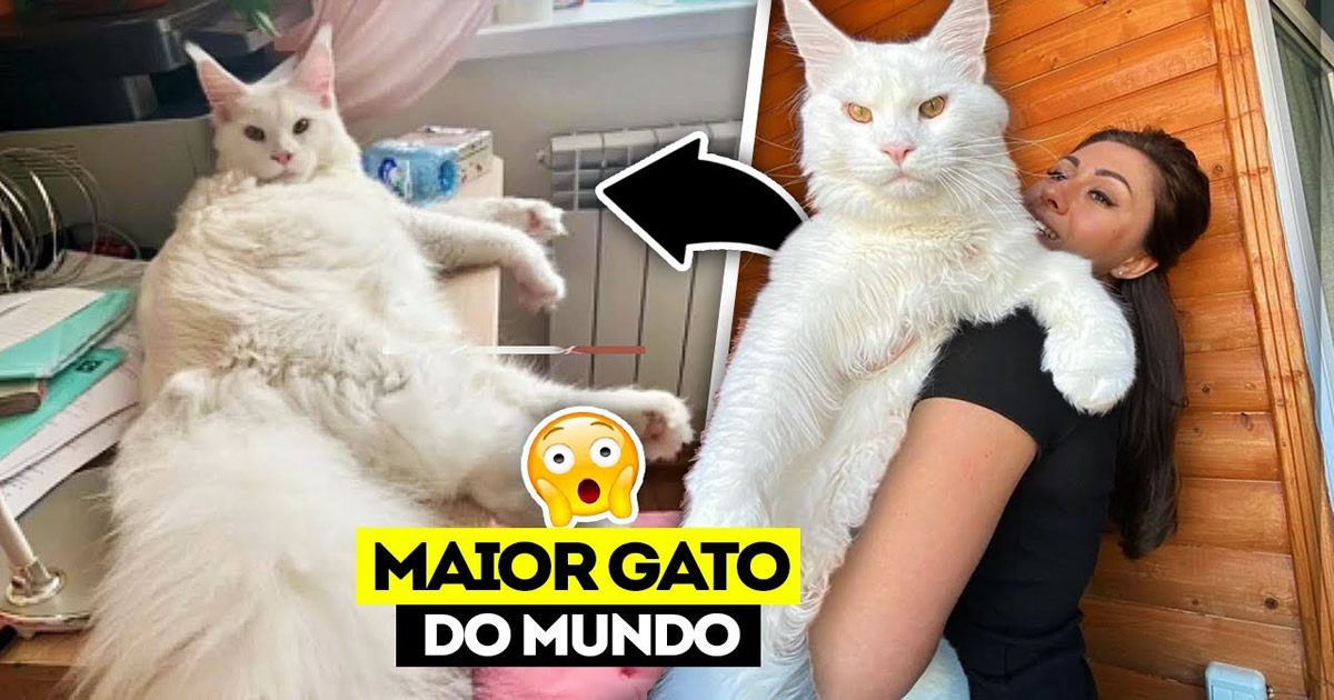 10 curiosidades incríveis que pode ser uma explosão de informação