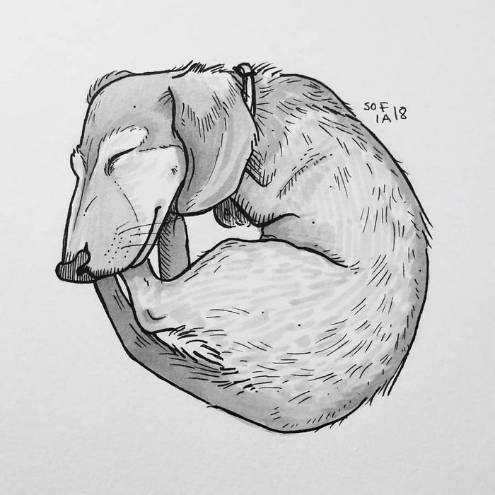21 desenhos de cachorros para sorrir, inspirados em um desafio de desenho de 30 dias 2 21 desenhos de cachorros para sorrir, inspirados em um desafio de desenho de 30 dias 2