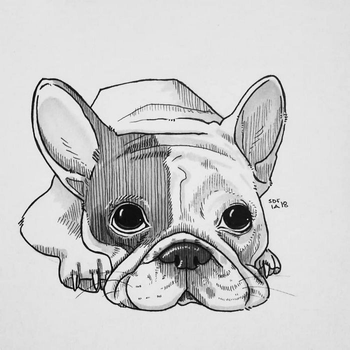 21 desenhos de cachorros para sorrir, inspirados em um desafio de desenho de 30 dias 9 21 desenhos de cachorros para sorrir, inspirados em um desafio de desenho de 30 dias 9