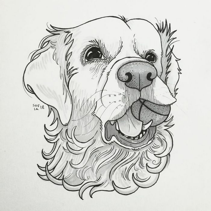 21 desenhos de cachorros para sorrir, inspirados em um desafio de desenho de 30 dias 12
