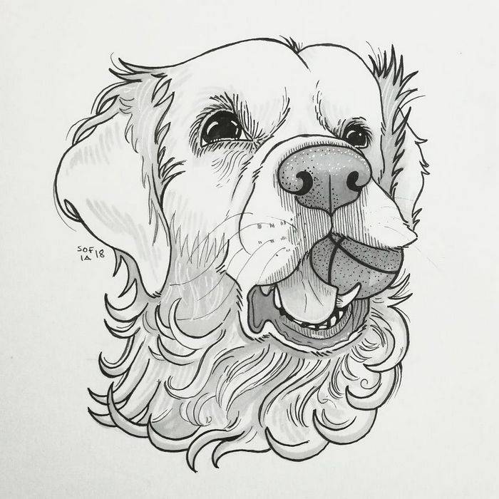 21 desenhos de cachorros para sorrir, inspirados em um desafio de desenho de 30 dias 11 21 desenhos de cachorros para sorrir, inspirados em um desafio de desenho de 30 dias 11