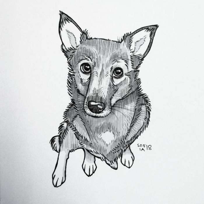 21 desenhos de cachorros para sorrir, inspirados em um desafio de desenho de 30 dias 12 21 desenhos de cachorros para sorrir, inspirados em um desafio de desenho de 30 dias 12
