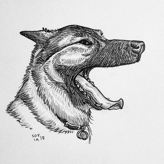 21 desenhos de cachorros para sorrir, inspirados em um desafio de desenho de 30 dias 14 21 desenhos de cachorros para sorrir, inspirados em um desafio de desenho de 30 dias 14