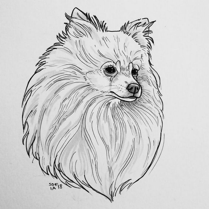 21 desenhos de cachorros para sorrir, inspirados em um desafio de desenho de 30 dias 15 21 desenhos de cachorros para sorrir, inspirados em um desafio de desenho de 30 dias 15