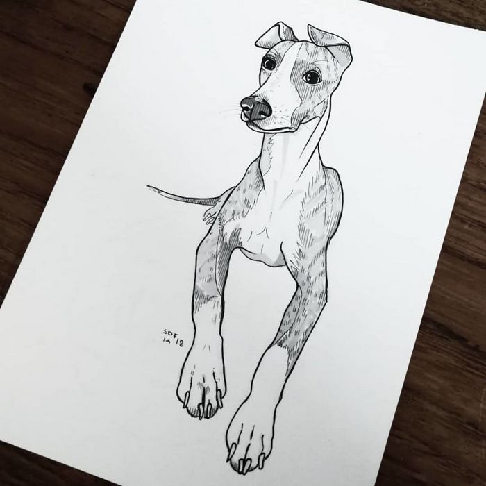21 desenhos de cachorros para sorrir, inspirados em um desafio de desenho de 30 dias 17 21 desenhos de cachorros para sorrir, inspirados em um desafio de desenho de 30 dias 17