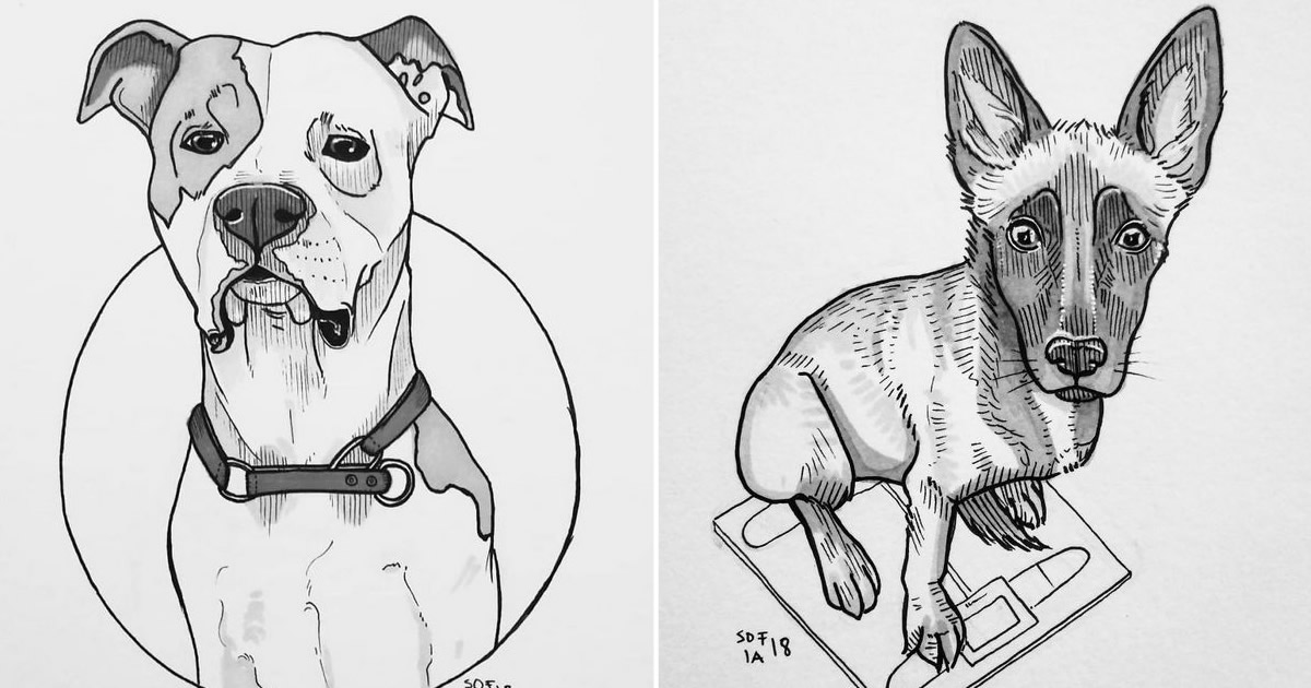 21 desenhos de cachorros para sorrir, inspirados em um desafio de desenho de 30 dias 97