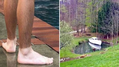 40 fotos aleatórias que são impossíveis de explicar de uma conta no Instagram 31