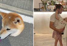 28 fotos confusas que você precisa ver duas vezes para entender o que está acontecendo 13