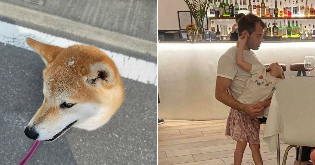 28 fotos confusas que você precisa ver duas vezes para entender o que está acontecendo
