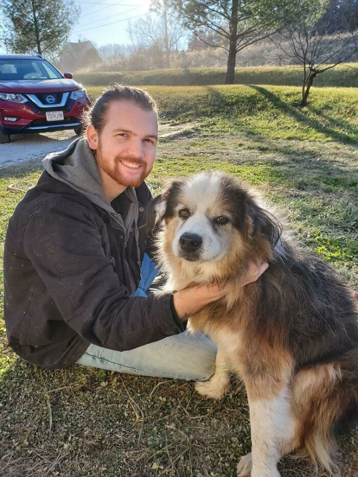 28 fotos de cães adoráveis desse grupo 13