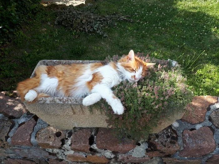 26 fotos emocionantes que certamente aquecerá seu coração 3