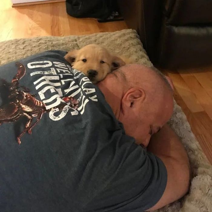 26 fotos emocionantes que certamente aquecerá seu coração 18