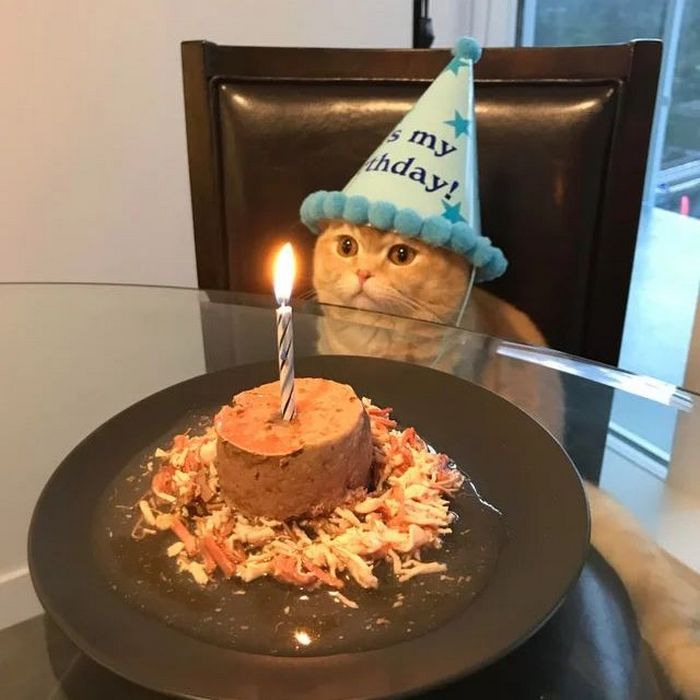 26 fotos emocionantes que certamente aquecerá seu coração 22