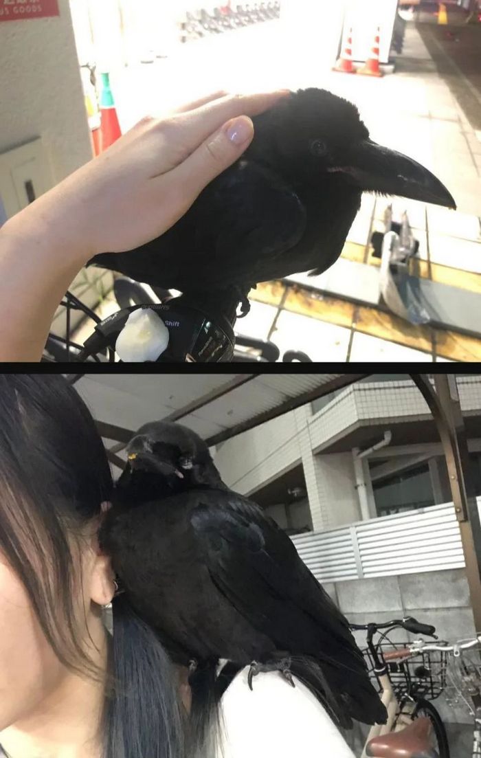 26 fotos emocionantes que certamente aquecerá seu coração 25