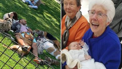 26 fotos emocionantes que certamente aquecerá seu coração 34