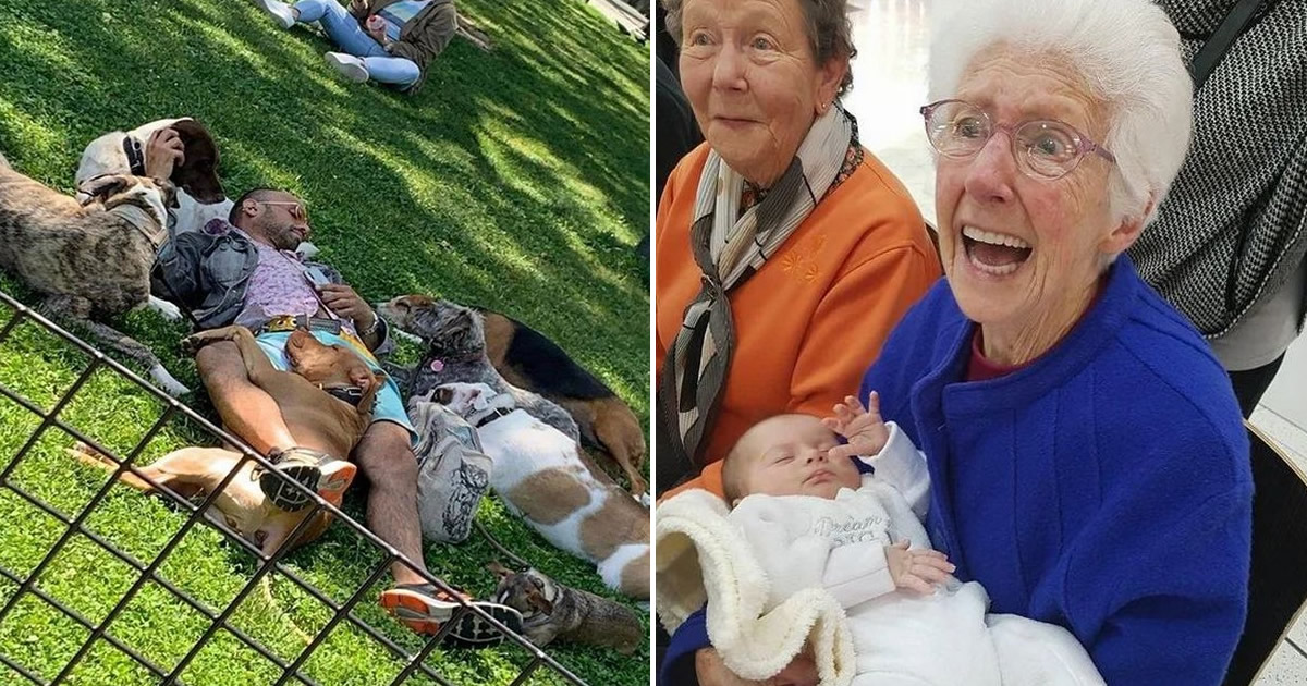 26 fotos emocionantes que certamente aquecerá seu coração