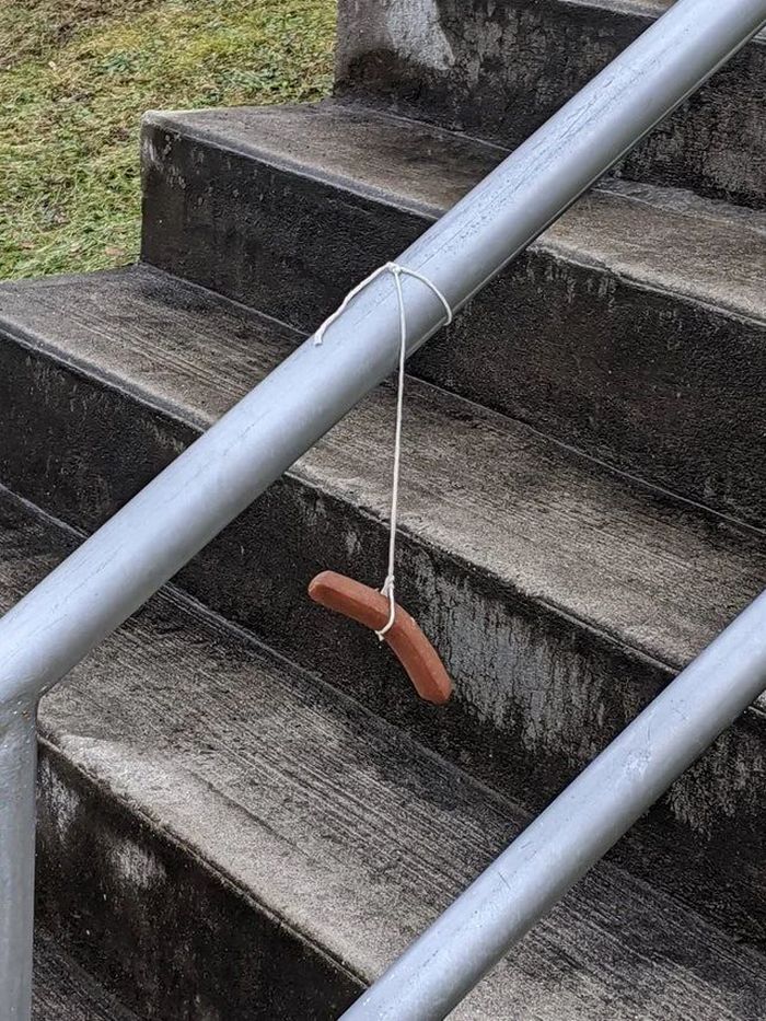 26 ideias incríveis que as pessoas transformaram em realidade 24