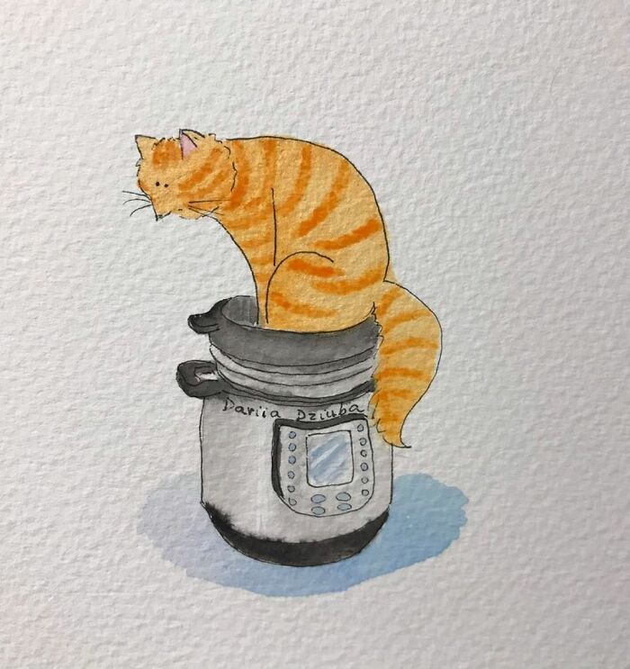 40 ilustrações divertidas que mostram as vantagens de viver com um gato 36