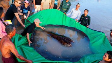 Os pescadores mais sortudos que pegaram algo incrível 6