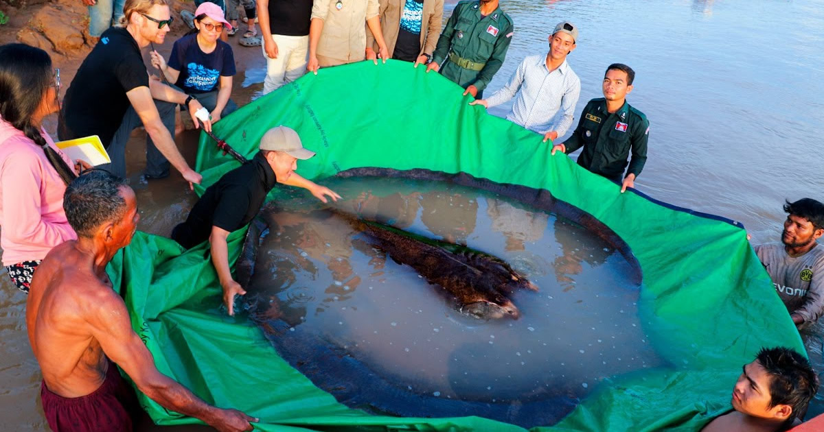 Os pescadores mais sortudos que pegaram algo incrível