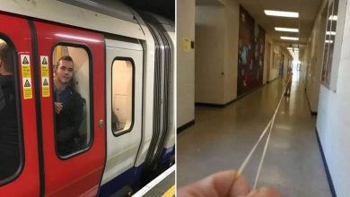 16 pessoas alheias que perceberam seu erro um pouco tarde demais 53
