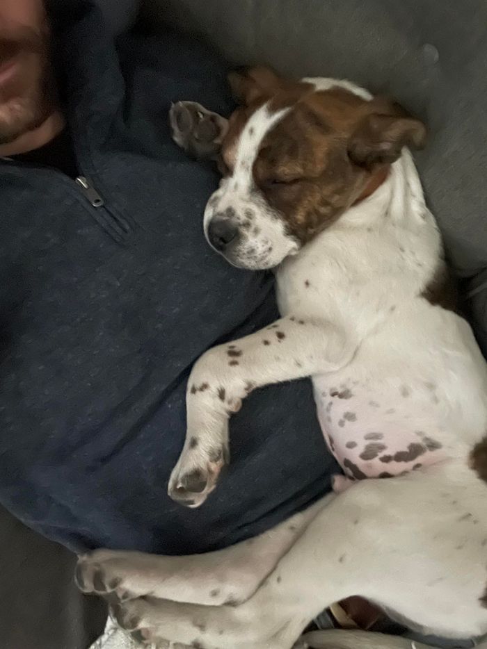 15 pessoas em êxtase que mal podiam esperar para compartilhar suas conquistas com o mundo 14