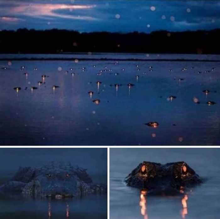 34 coisas incríveis, estranhas, maravilhosas pelo mundo 31