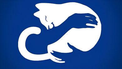 Descubra algo sobre você: O que você vê primeiro uma mão ou gato? 7