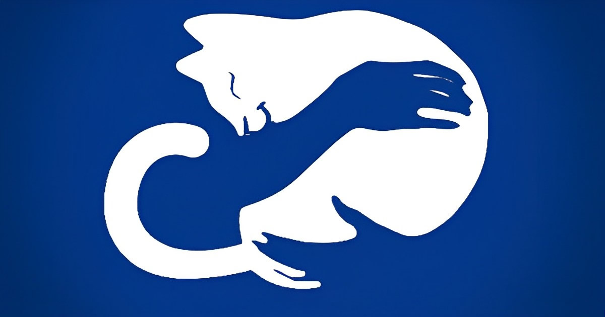 Descubra algo sobre você: O que você vê primeiro uma mão ou gato? 1