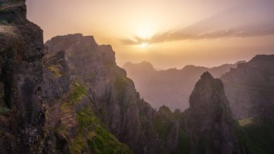 21 fotos de dias e noites de Madeira que são bonitas 38