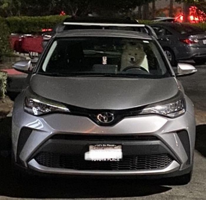 18 fotos que vão fazer você acreditar que a Matrix é real e que estamos vivendo nela 2