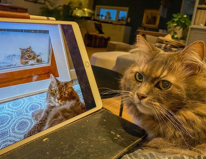 18 fotos que vão fazer você acreditar que a Matrix é real e que estamos vivendo nela 3