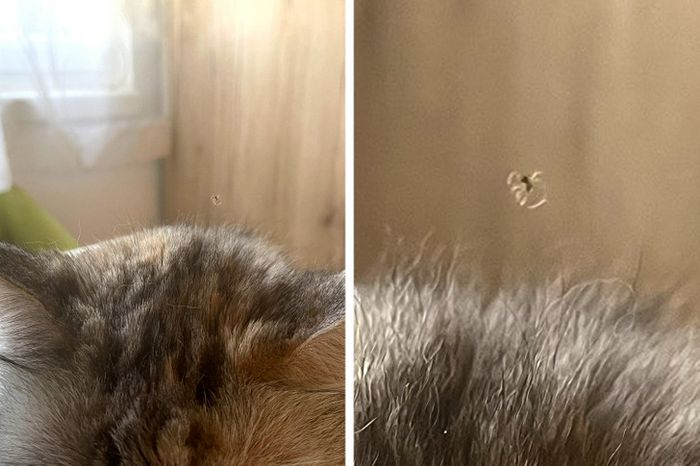 18 fotos que vão fazer você acreditar que a Matrix é real e que estamos vivendo nela 12