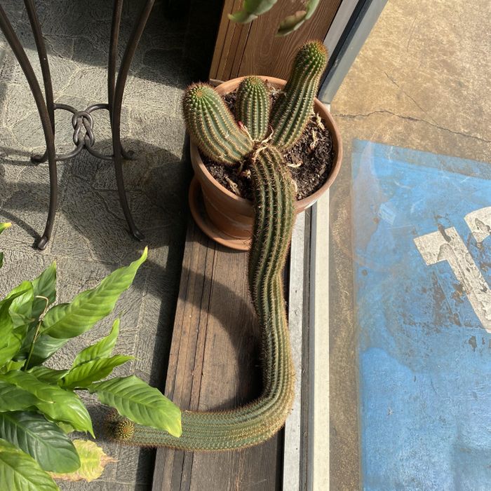 18 fotos que vão fazer você acreditar que a Matrix é real e que estamos vivendo nela 18