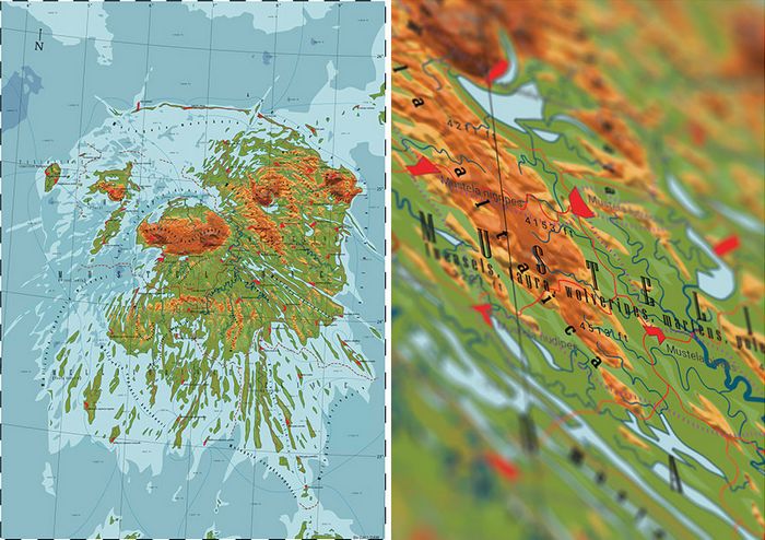 29 mapas em homenagem à natureza e aos animais 7 29 mapas em homenagem à natureza e aos animais 7
